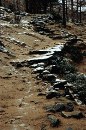 Sentier du refuge Chabod